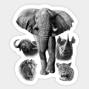 Africa's Iconic Big Five Wildlife Artwork Sticker